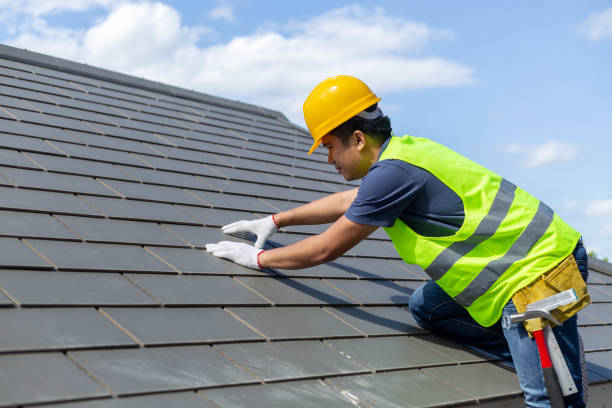 Roof Gutter Cleaning in Daleville, IN