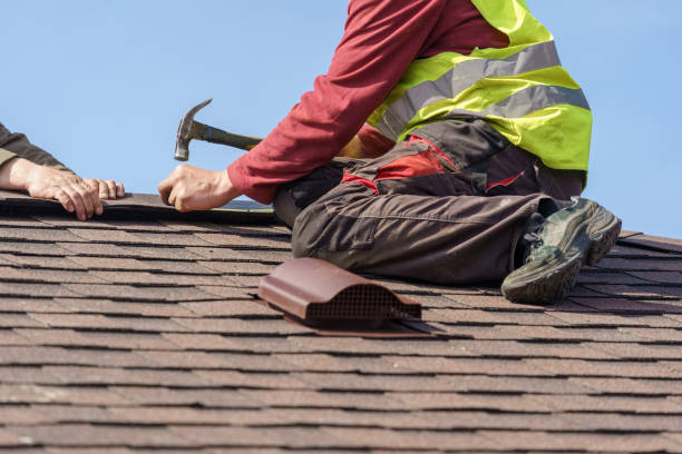 Best Storm Damage Roof Repair  in Daleville, IN