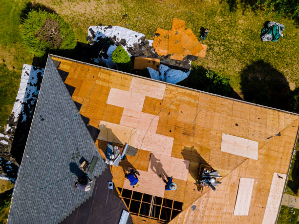 Best Roof Maintenance Services  in Daleville, IN