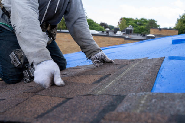 Best Roof Replacement Cost  in Daleville, IN