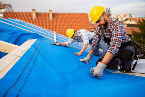 Best Roof Leak Repair  in Daleville, IN