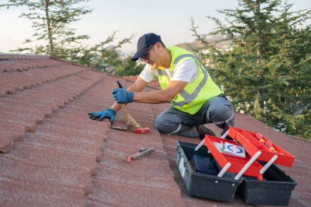 Best Metal Roofing Contractor  in Daleville, IN