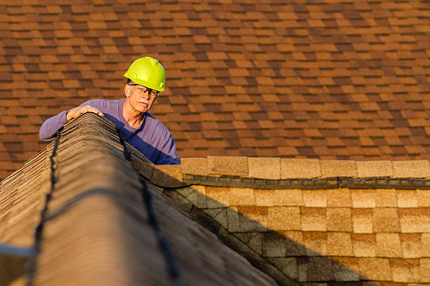Best Local Roofing Companies  in Daleville, IN