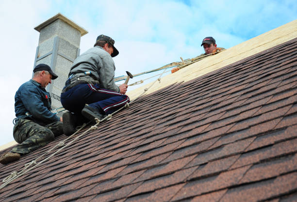 Roof Installation Near Me in Daleville, IN