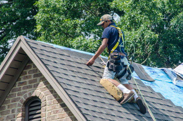 Roof Repair Estimates in Daleville, IN